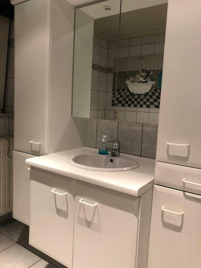 Kampenhof Villa Maaseik Bagian luar foto