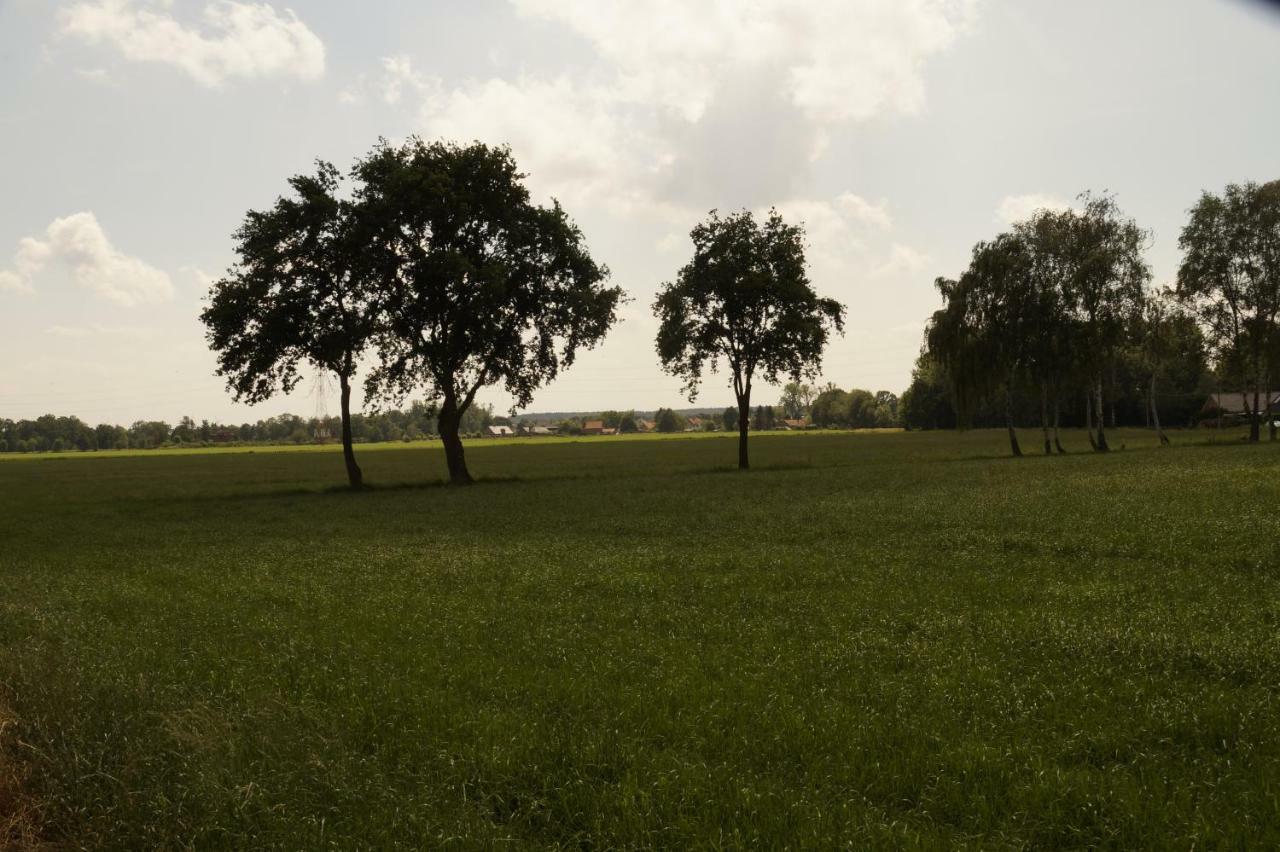 Kampenhof Villa Maaseik Bagian luar foto