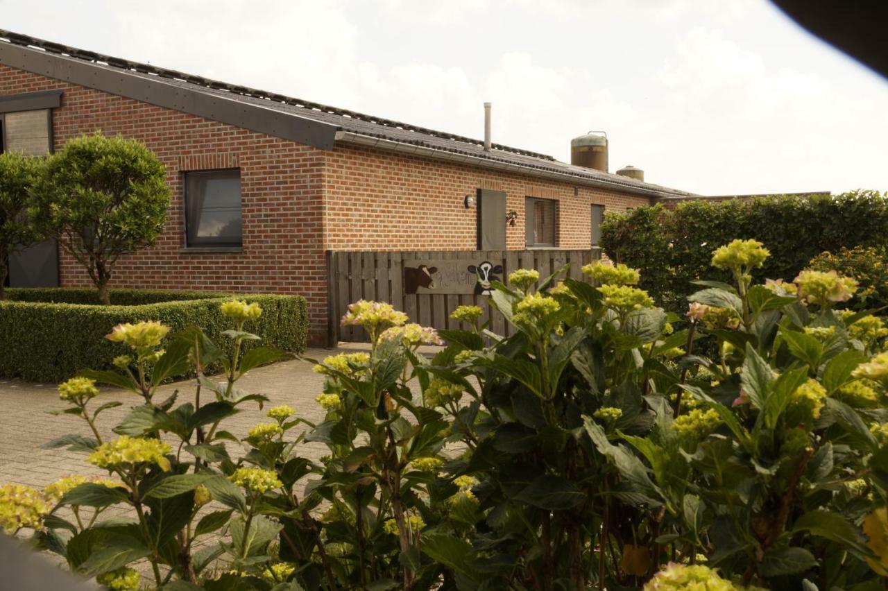 Kampenhof Villa Maaseik Bagian luar foto